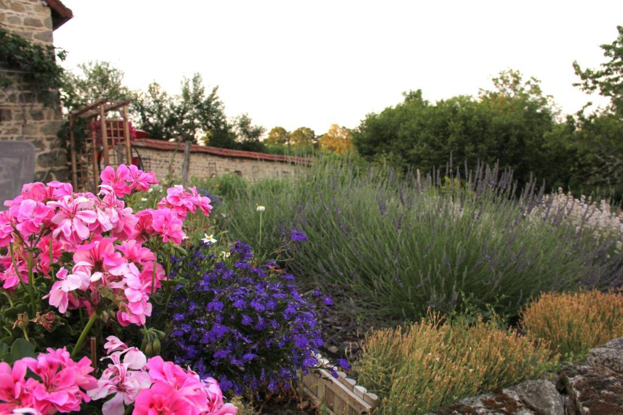 La Belle Ame Bed & Breakfast Saint-Priest-des-Champs Eksteriør bilde