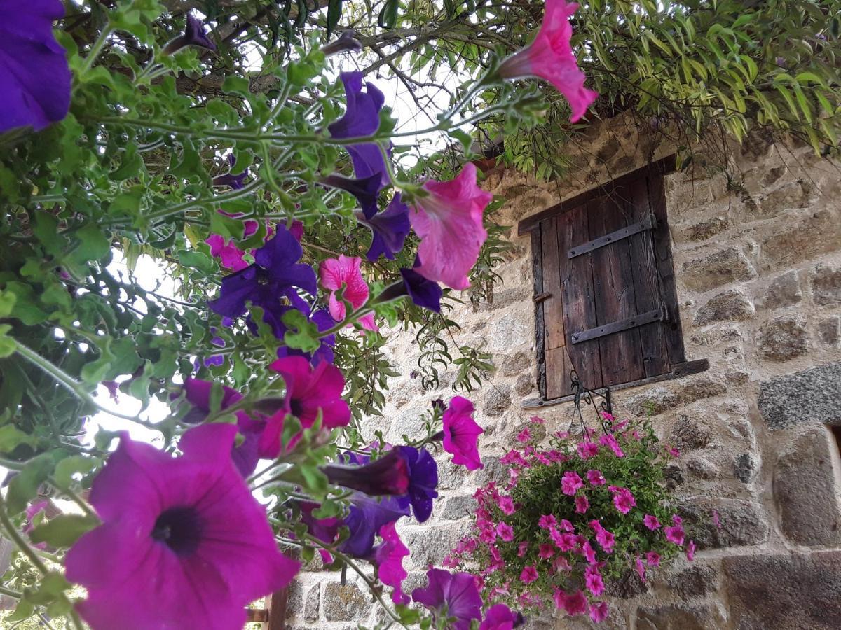La Belle Ame Bed & Breakfast Saint-Priest-des-Champs Eksteriør bilde